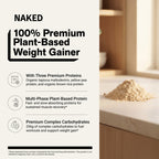 Chocolate Peanut Butter Vegan Mass Gainer Supplement - Chocolate PB (Vegan)