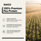 Chocolate Pea Protein Powder - Chocolate