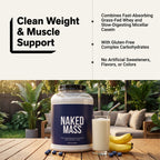 Mass Gainer Protein Supplement - Unflavored