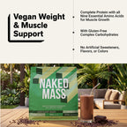 Chocolate Vegan Mass Gainer Supplement - Chocolate (Vegan) 12LB