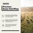 Chocolate Whey Protein Powder - Chocolate