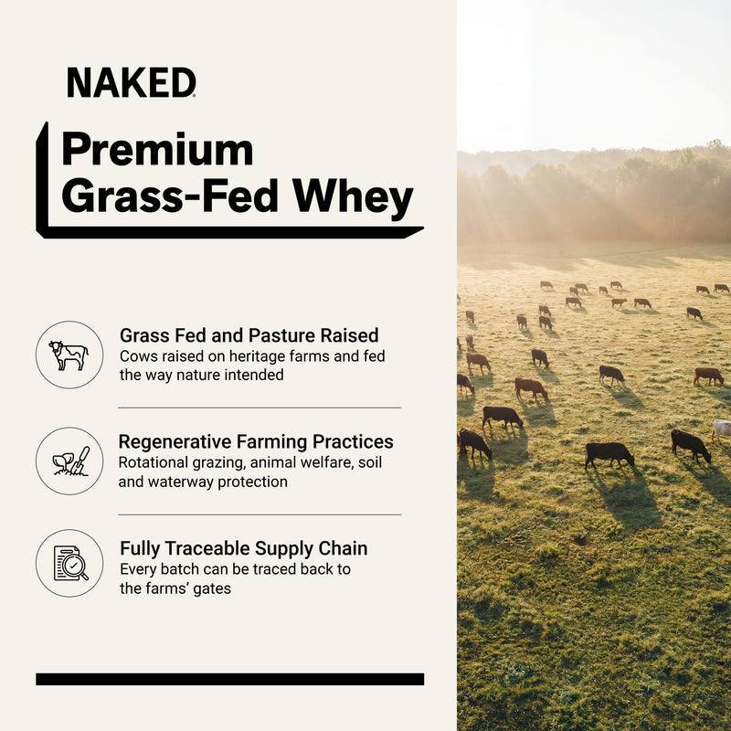 Vanilla Whey Protein Powder - Vanilla
