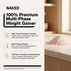 Strawberry Mass Gainer Protein Supplement - Strawberry