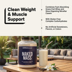 Vanilla Mass Gainer Protein Supplement - Vanilla