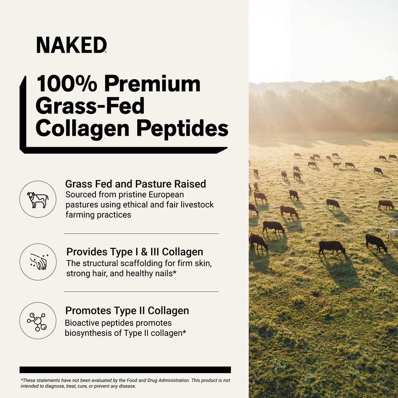 Caramel Collagen Peptides Powder - Caramel Collagen Peptides