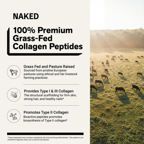 Caramel Collagen Peptides Powder - Caramel Collagen Peptides