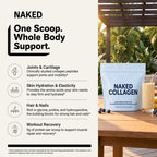 Collagen Peptides Packets - Stick Packs