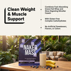 Mass Gainer Protein Supplement - Unflavored 12LB