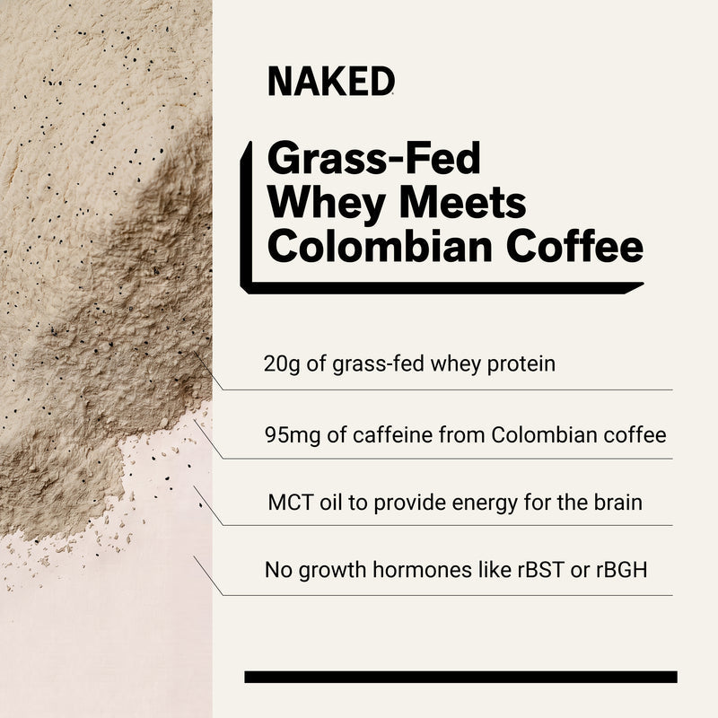Mocha Latte Protein Iced Coffee - Mocha Latte