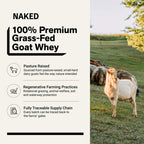 Vanilla Goat Whey Protein Powder - Vanilla