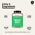 Chocolate Vegan Mass Gainer Supplement - Chocolate (Vegan)