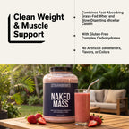Strawberry Mass Gainer Protein Supplement - Strawberry