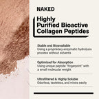 Chocolate Collagen Peptides Powder - Chocolate Collagen Peptides