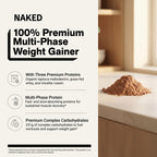 Chocolate Mass Gainer Protein Supplement - Chocolate 12LB
