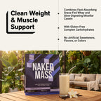 Vanilla Mass Gainer Protein Supplement - Vanilla 12LB