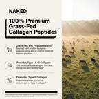 Collagen Peptides Protein Powder - Collagen Peptides