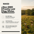 Egg White Protein Powder