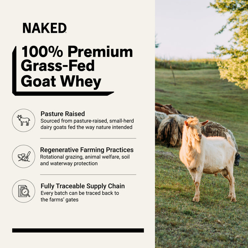 Chocolate Goat Whey Protein Powder - Chocolate
