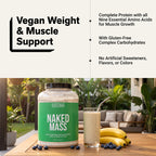 Vegan Mass Gainer Supplement - Unflavored (Vegan)